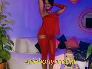 ariebonybrooke Archive DVD ORG