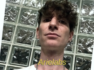 arielabs Archive DVD ORG