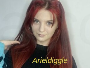 Arieldiggle