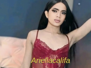 ariellacalifa Archive DVD ORG