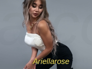 ariellarose Archive DVD ORG