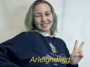 Arleighdagg