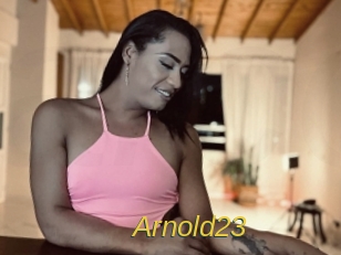 arnold23 Archive DVD ORG