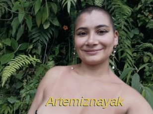 Artemiznayak