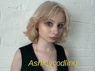 Ashleycodling