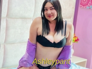 ashleypant Archive DVD ORG