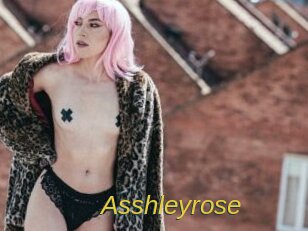 Asshleyrose