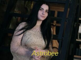 Astrobee