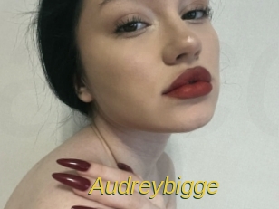 Audreybigge