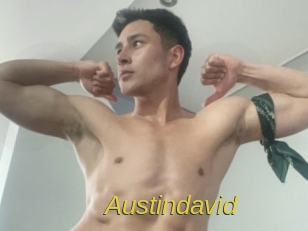 austindavid Archive DVD ORG