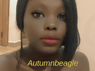 Autumnbeagle
