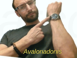 Avalonadonis
