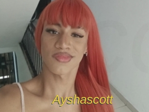 ayshascott Archive DVD ORG
