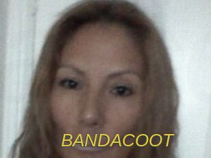 BANDACOOT