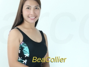 BeaCollier Archive DVD ORG