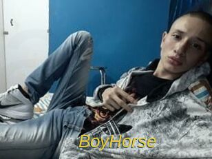 BoyHorse