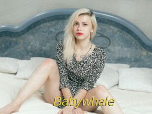 Babywhale