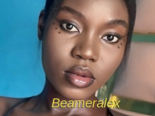beameralex Archive DVD ORG