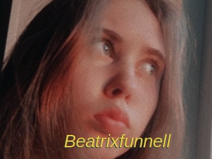 Beatrixfunnell