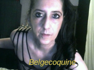 Belgecoquine
