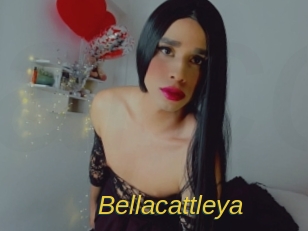 Bellacattleya