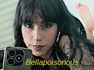 bellapoisonous Archive DVD ORG