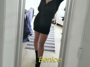 benice Archive DVD ORG