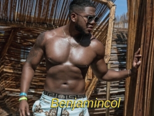benjamincol Archive DVD ORG