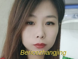 Bericezhangjing