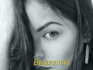 Bigassmia