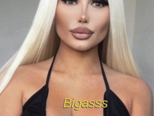 bigasss Archive DVD ORG