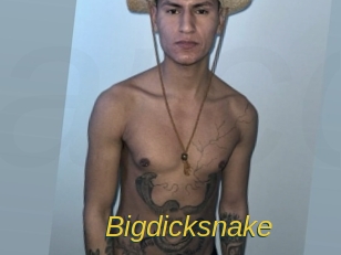 Bigdicksnake