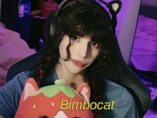 bimbocat Archive DVD ORG