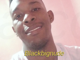 blackbignude Archive DVD ORG