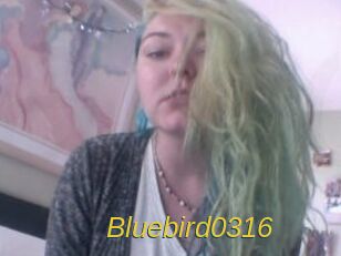 Bluebird0316