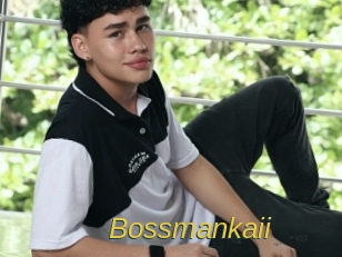 bossmankaii Archive DVD ORG