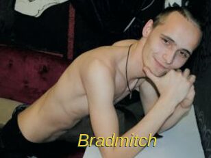 Bradmitch