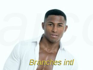 Branches_intl