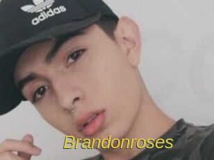 Brandonroses