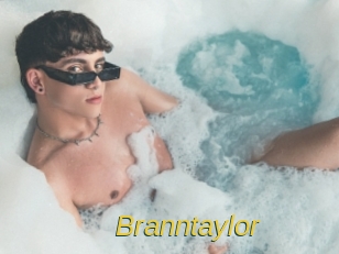 branntaylor Archive DVD ORG