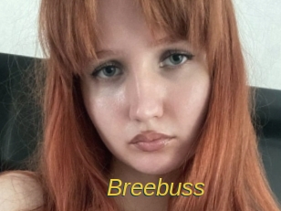 Breebuss