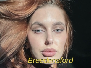 breedensford Archive DVD ORG