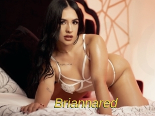 briannared Archive DVD ORG