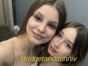 Bridgetandsunniv