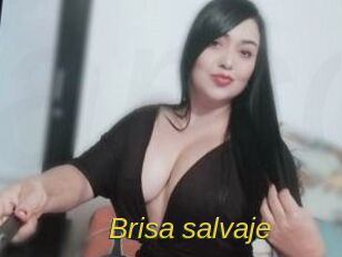Brisa_salvaje