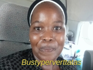 Bustyperverttatas