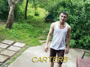 CARTER_B Archive DVD ORG