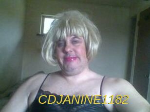 CDJANINE1182 Archive DVD ORG