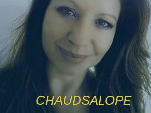 CHAUDSALOPE