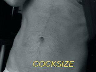 COCKSIZE Archive DVD ORG